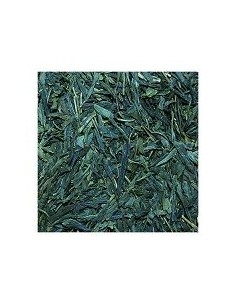 TE VERDE SENCHA 100 GR