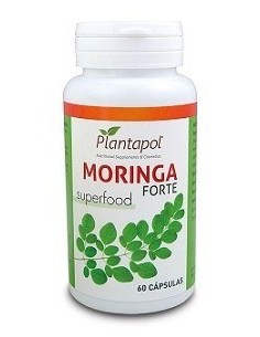MORINGA FORTE 60 CAP PLANTAPOL
