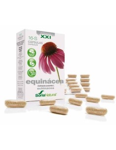 CÁPSULAS 16-S EQUINACEA LIB PROLONG S.N