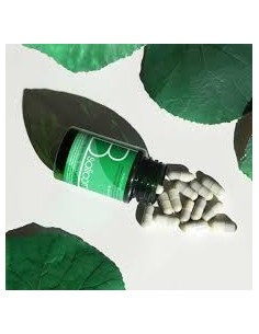 B SALICORNIA 30 CAPS VEGETALES MARISMA BIOMED