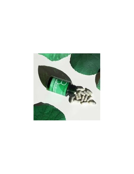 B SALICORNIA 30 CAPS VEGETALES MARISMA BIOMED