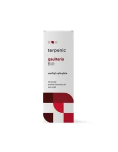 AE GAULTERIA PROCUMBENS BIO 10 ML TERPENIC