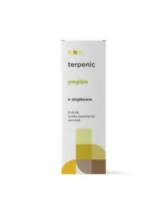 AE JENGIBRE BIO 5 ML TERPENIC