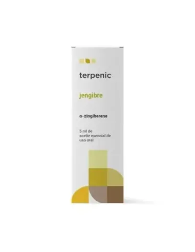 AE JENGIBRE BIO 5 ML TERPENIC
