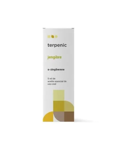 AE JENGIBRE BIO 5 ML TERPENIC