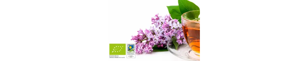 FITOTERAPIA Y PLANTAS