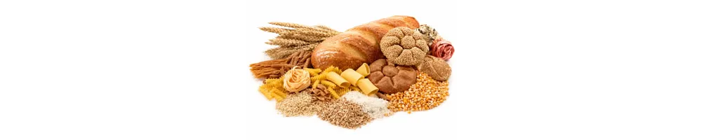 Panadería ecológica y Básicos