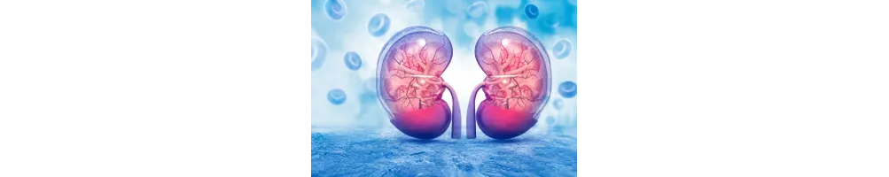 Bienestar Renal