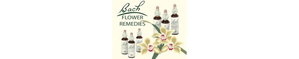 Flores de Bach: Equilibrio Emocional Natural