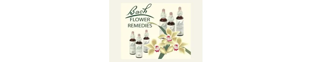 FLORES DE BACH